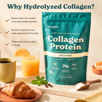 Collagen Protein