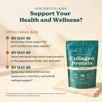 Collagen Protein