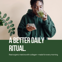 Collagen Matcha