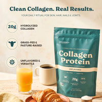 Collagen Protein