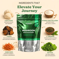 Mushroom Matcha